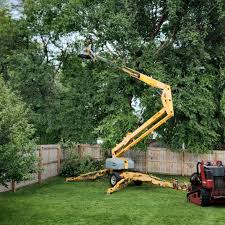 Why Choose Our Tree Removal Services in Portsmouth, NH?